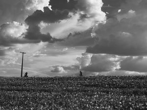 A PAISAGEM RURAL