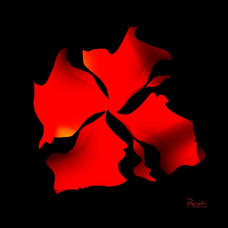 UNKNOWN FLOWER 3
