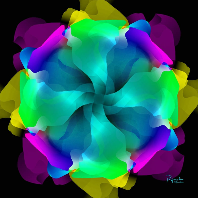 UNKNOWN FLOWER 7