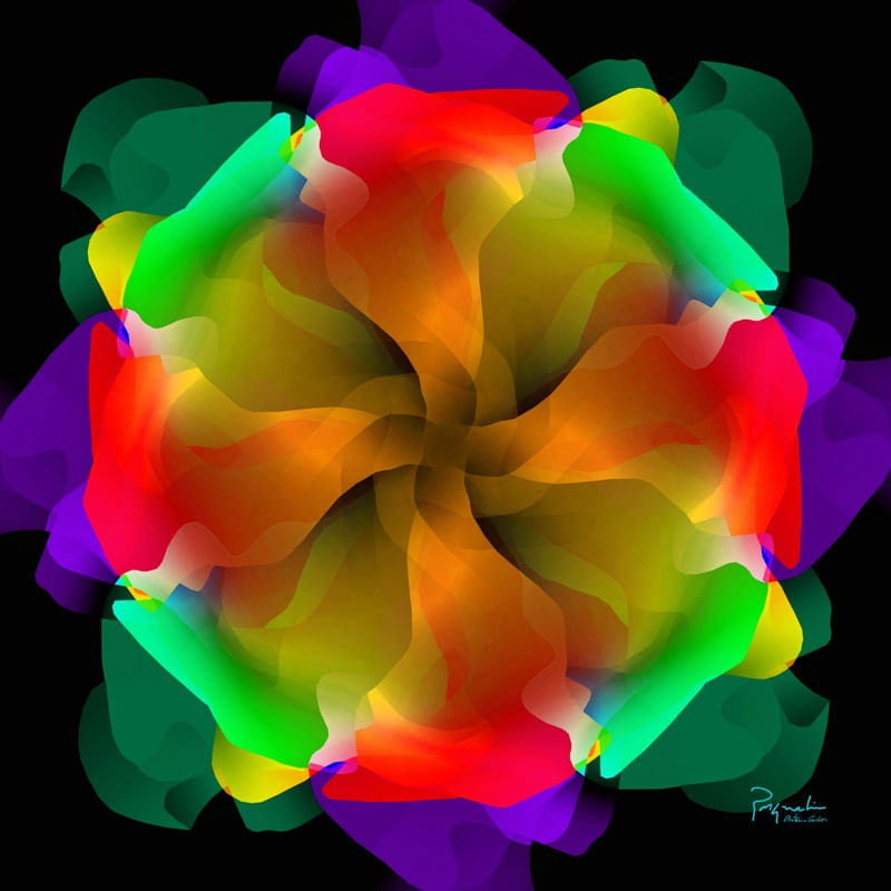 UNKNOWN FLOWER 8