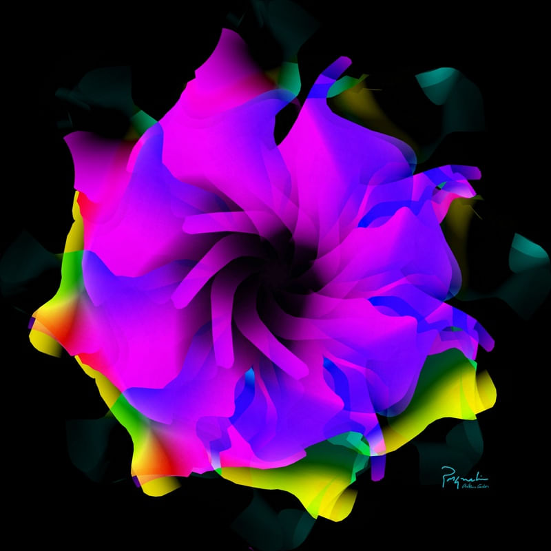 UNKNOWN FLOWER 19