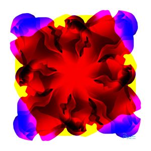 UNKNOWN FLOWER 11