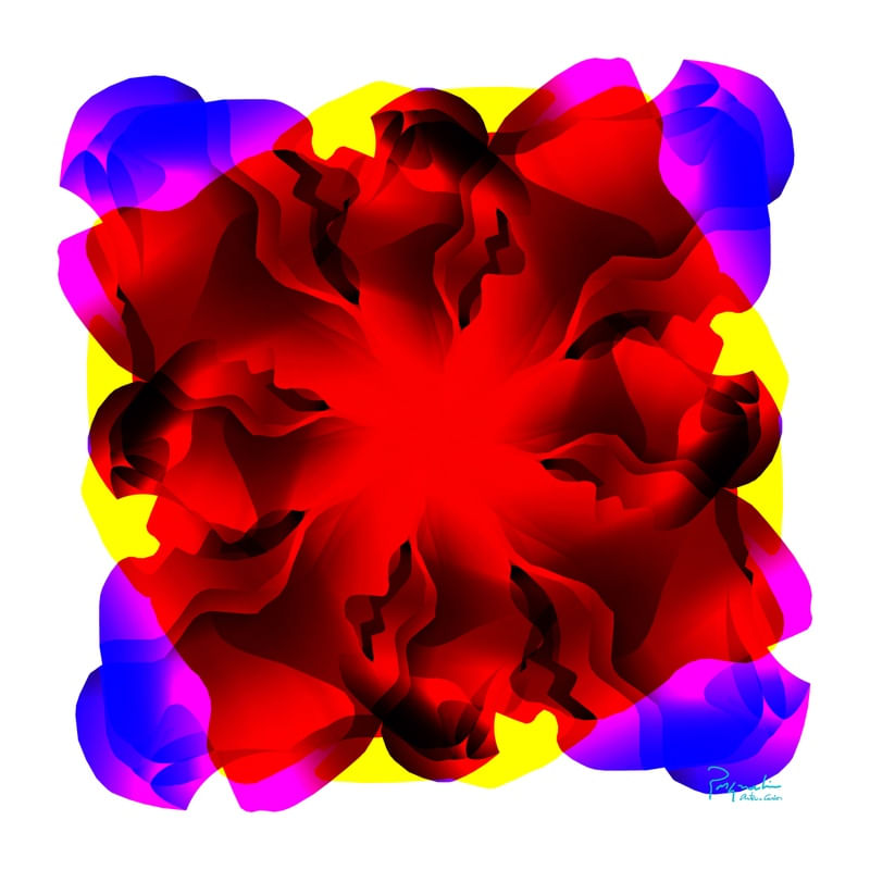UNKNOWN FLOWER 11