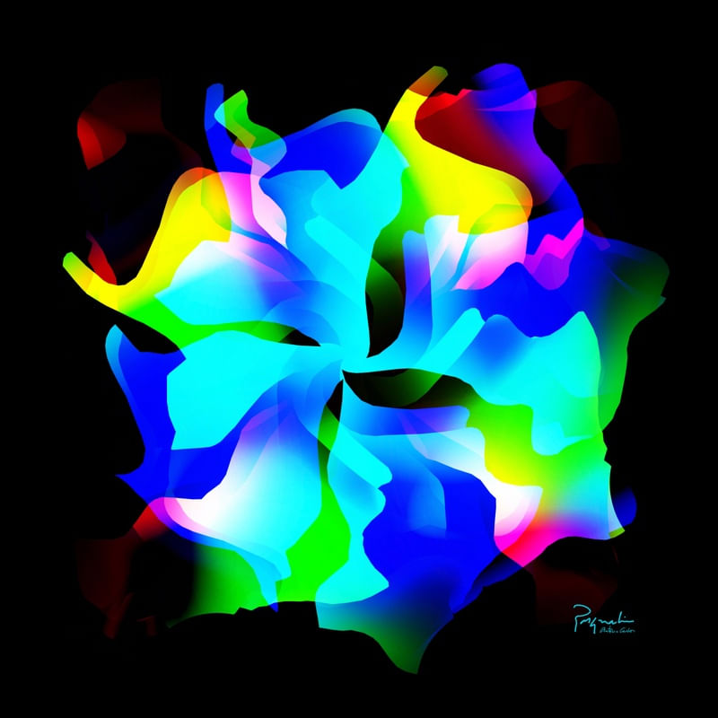UNKNOWN FLOWER 12
