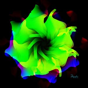UNKNOWN FLOWER 17