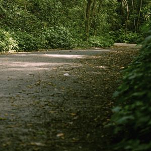 CAMINHOS DA NATUREZA - DÍPTICO INFERIOR