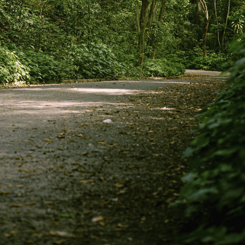 CAMINHOS DA NATUREZA - DÍPTICO INFERIOR