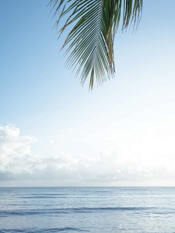JAMPA PARADISE