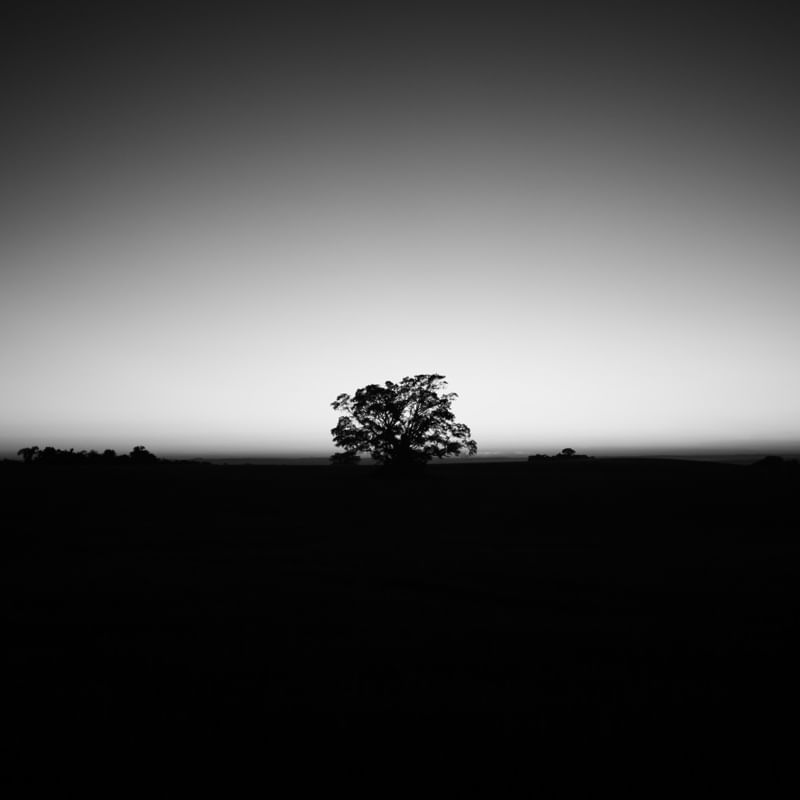 PAISAGEM PB