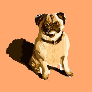 DOGZIN
