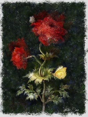 ABSTRATO RED FLOWERS