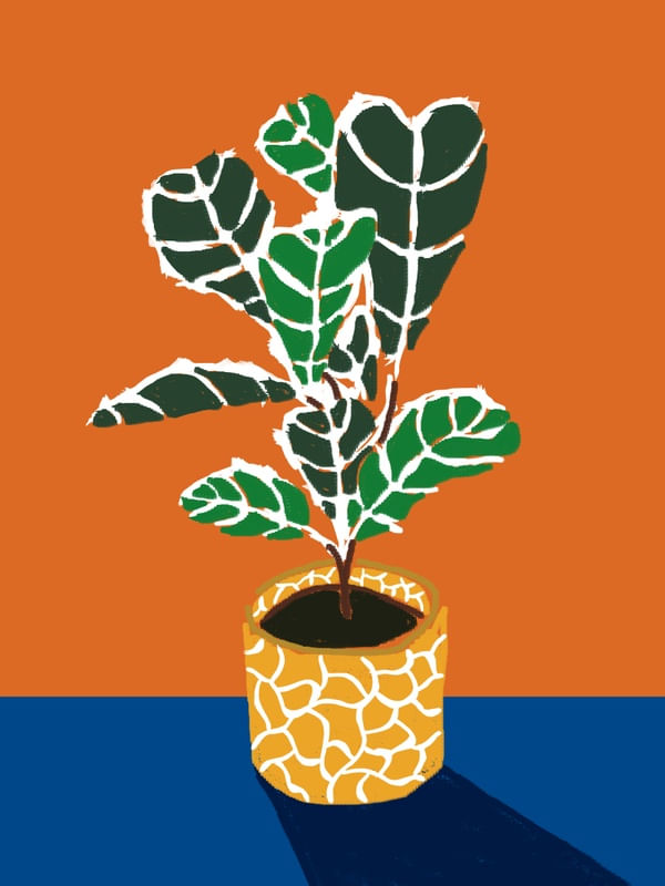 "VASO COM PLANTAS"