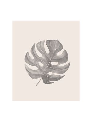 GRAY MONSTERA LEAF