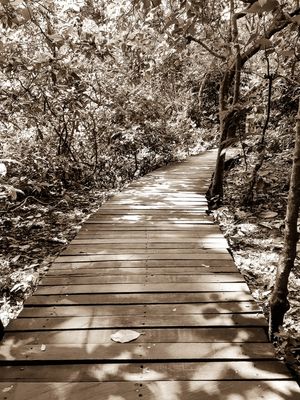 CAMINHO 1.3