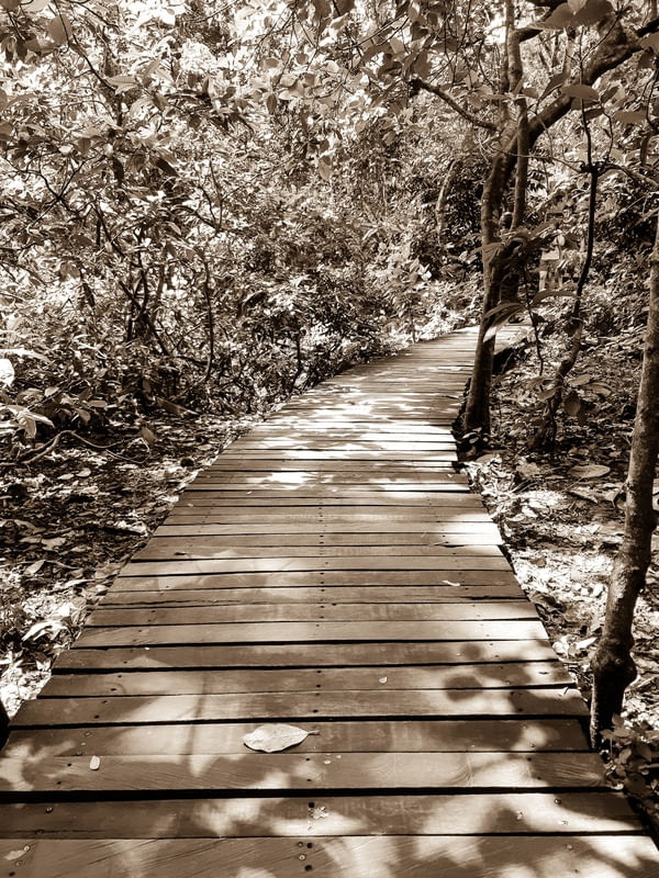 CAMINHO 1.3