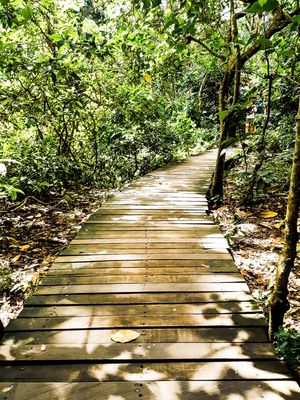 CAMINHO 1.5