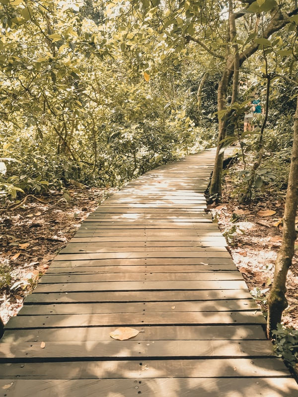 CAMINHO 1.6
