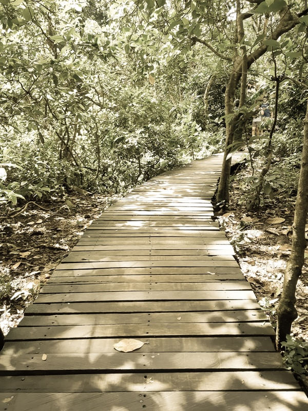 CAMINHO 1.7