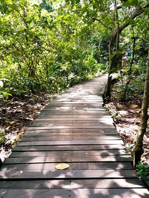 CAMINHO 1.9