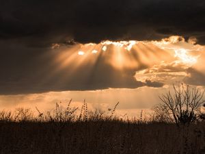O CÉU E O SOL