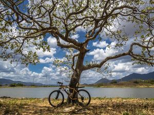 NATUREZA MTB