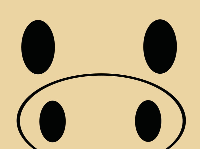 LITTLE PIG