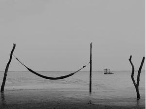 SILENCIO NEGRO