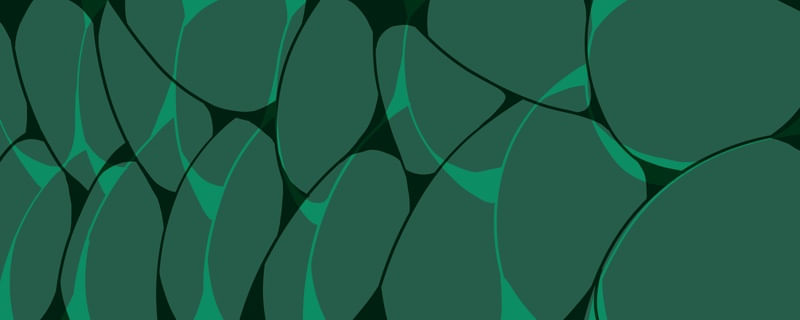 AGUAS VERDES