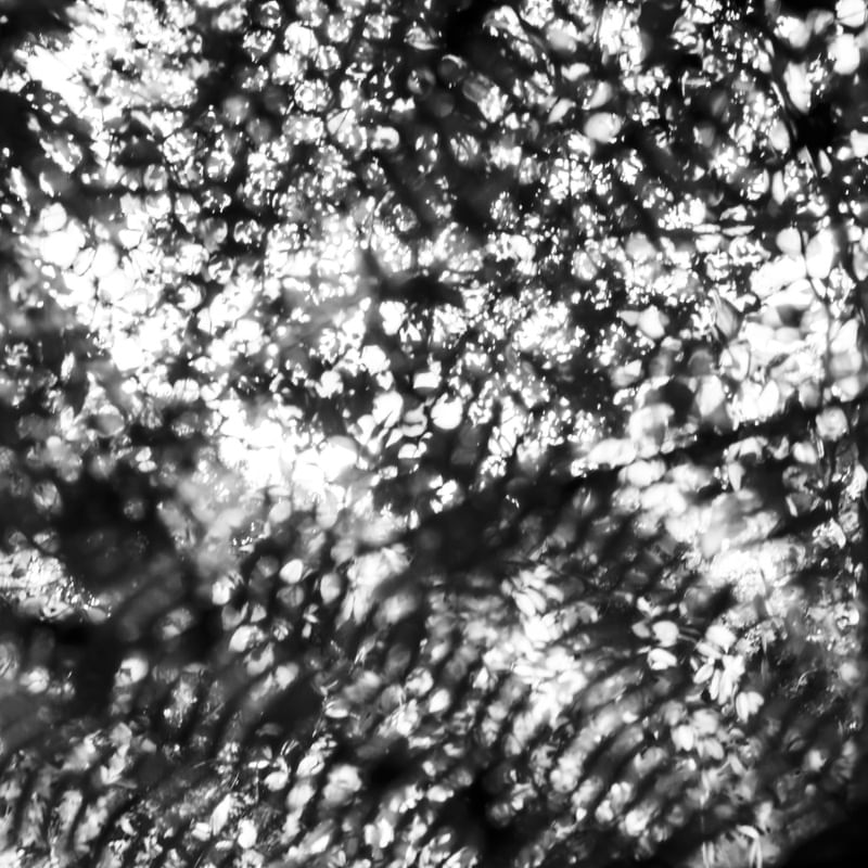 A ARTE ABSTRATA PB