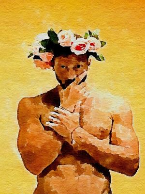 THE FLOWER BOY