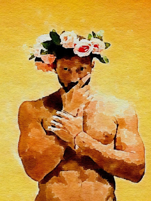 THE FLOWER BOY