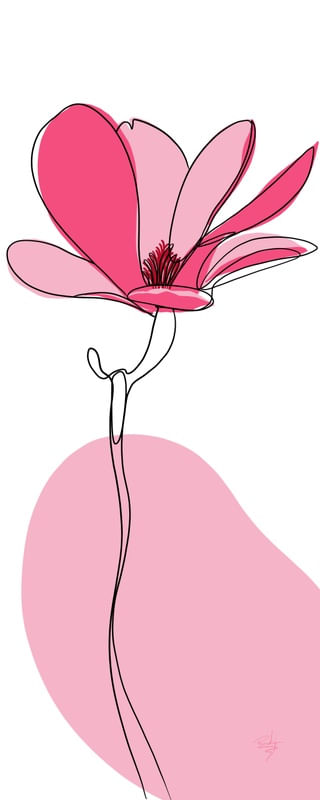 TULIPA VIBRANTE