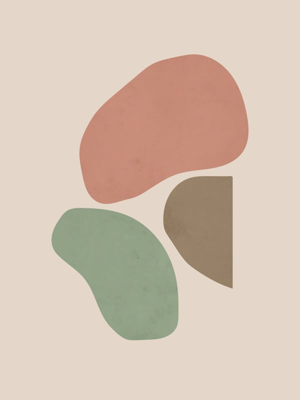FORMAS MINIMALISTAS ORGANICAS 1