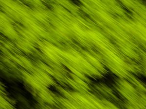 O VERDE ABSTRATO III