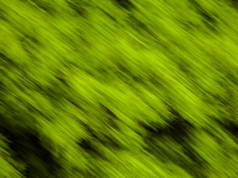 O VERDE ABSTRATO III