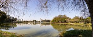 SOMBRA DO LAGO