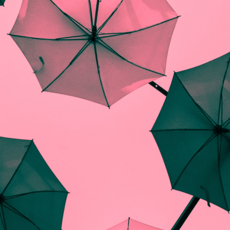 OS GUARDA CHUVAS ROSADOS