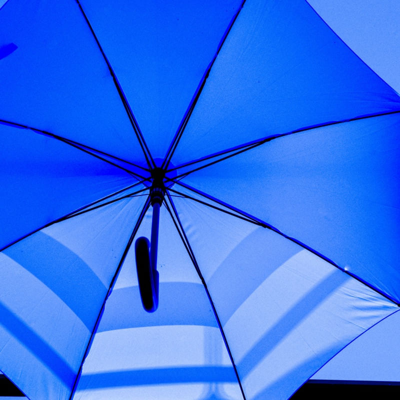 O GUARDA CHUVA AZUL