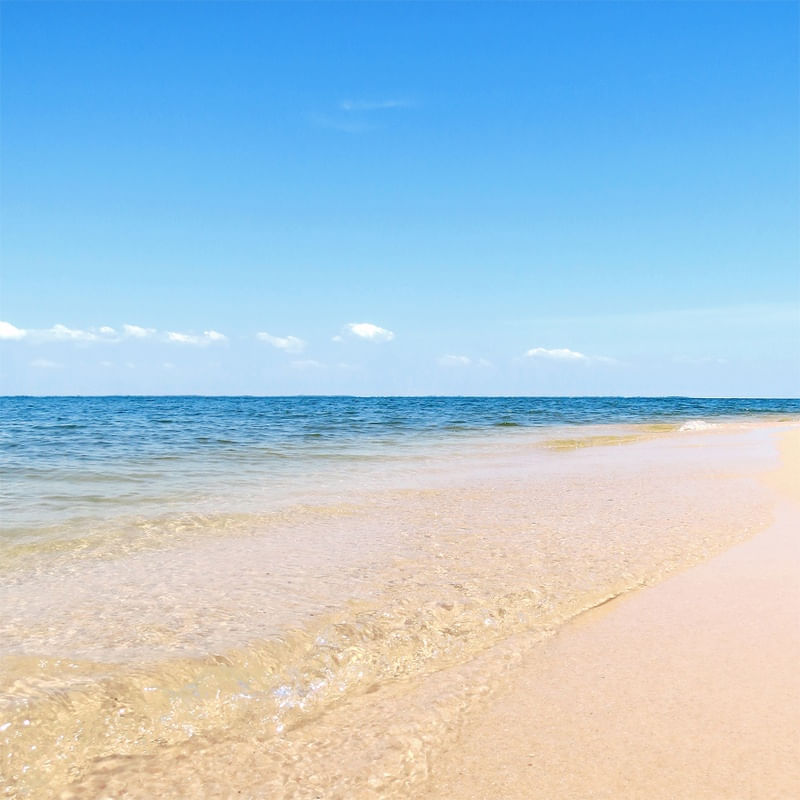 BEACH REST