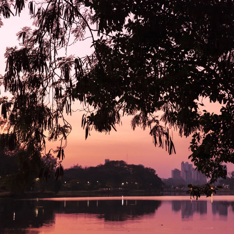 LAGO ROSADO