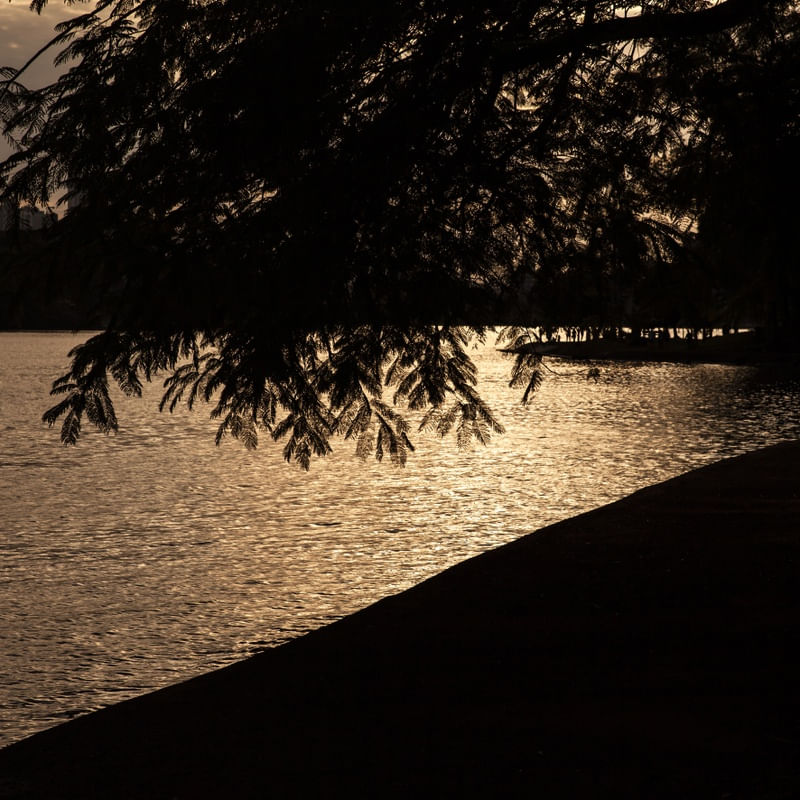 O BRILHO NO LAGO IGAPO AO ENTARDECER