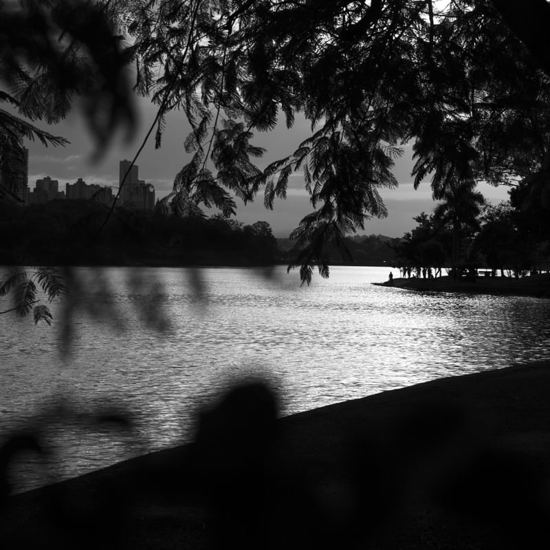 O LAGO PB