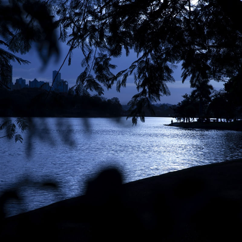 O LAGO AZUL II