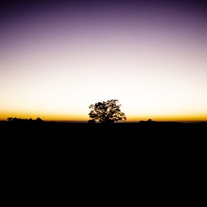 O AMANHECER II