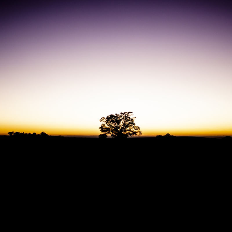 O AMANHECER II