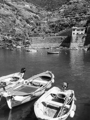 CINQUE TERRE LLL/LLL TF P&B