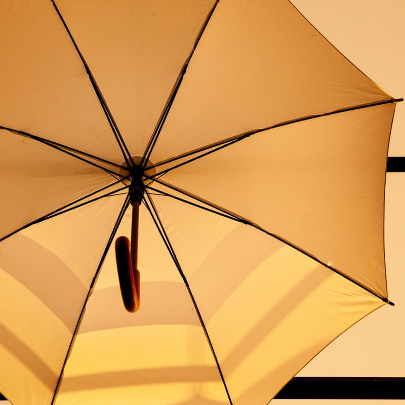 YELLOW UMBRELLA I