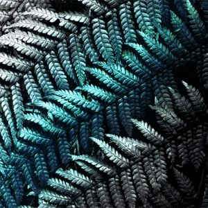 MINT FOLIAGE 1