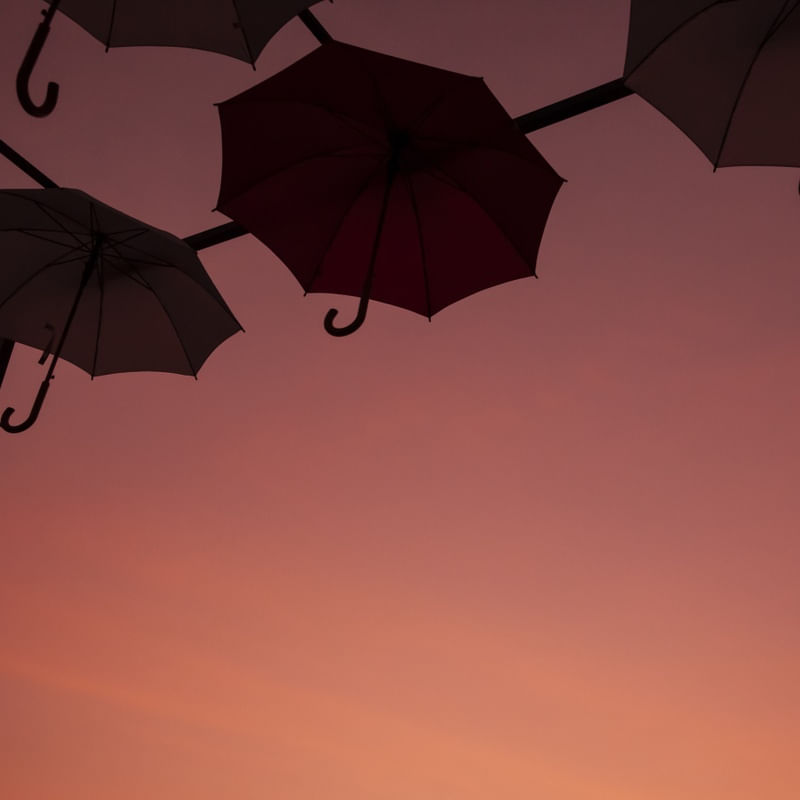 O CÉU ROSADO II