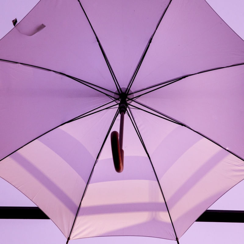 LINHAS ROSE